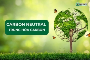 carbon neutral la gi  carbon neutral va net zero khac nhau nhu the nao