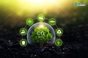 khi co2 la gi  nguyen nhan tac dong va cach giai phap giam thieu co2