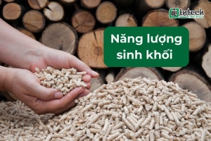 nang luong sinh khoi la gi  uu nhuoc diem va phan loai chi tiet