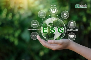 tieu chuan esg la gi  tam quan trong cua esg