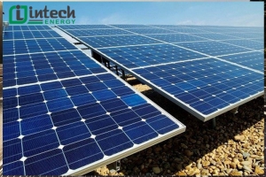 ung dung dien mat troi trong doi song